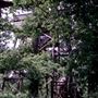 RSPB Minsmere