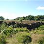 Views of Long Lane & surrounds
