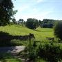 Easby Abbey View Lane