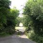 Glynch Farm