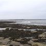 Lindisfarne Beach