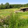 Wildfowl and Wetlands Centre