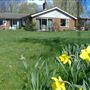 New Barns Farm