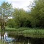 Stodmarsh Nature Reserve