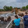 Chester Zoo