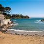 Readymoney Cove
