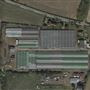 Hadham Nursery