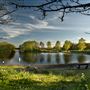 Apex Park