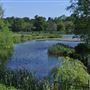 Ripple Lakes