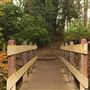 Lymm Dam
