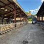 Farm (Cowdray Estate)