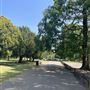 Wardown Park