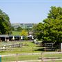 Small breeds farm Park