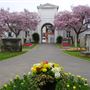 Milton Cemetary