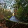 Barrow Bridge Woodland, Bolton