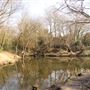 Warsash Common