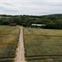 Henhurst Cross Lane