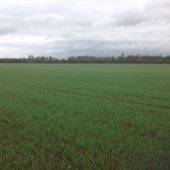 Stubbings Farm