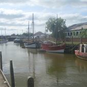 Rye Harbour
