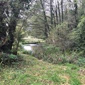 Holywell Estate