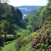 Glendurgan Gardens