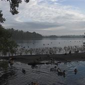 NT - Frensham Little Pond