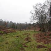 Hindhead Common