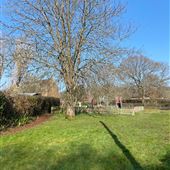 Abbots Cottages open space