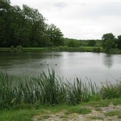 Godstone Vineyards