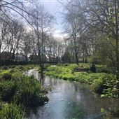 Meades Water Gardens
