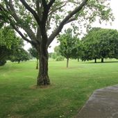 Alfred Rose Park