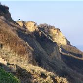 Bacton Beach