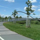 Millennium Bridge, York