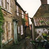 Plane Tree Street