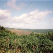 North Yorkshire Moors Forests