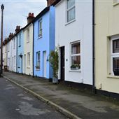 Primrose Gardens