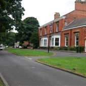 Norton