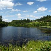 Cragside Gardens