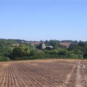 Kimpton Village