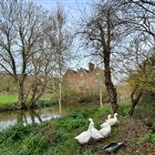 A - Moat Farm
