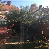 Chorltonville