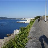 Madeira Road