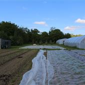 A - Place Farm