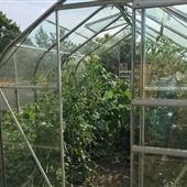 A - Float Farm