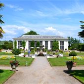 Mount Edgcumbe Formal Gardens