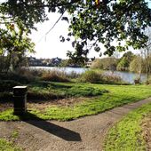 Singleton Lake