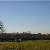 Godinton House