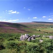 Dartmoor National Park