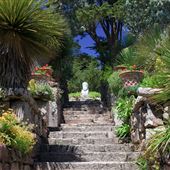 Tresco, Isles of Scilly