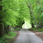 The Wormsley Estate